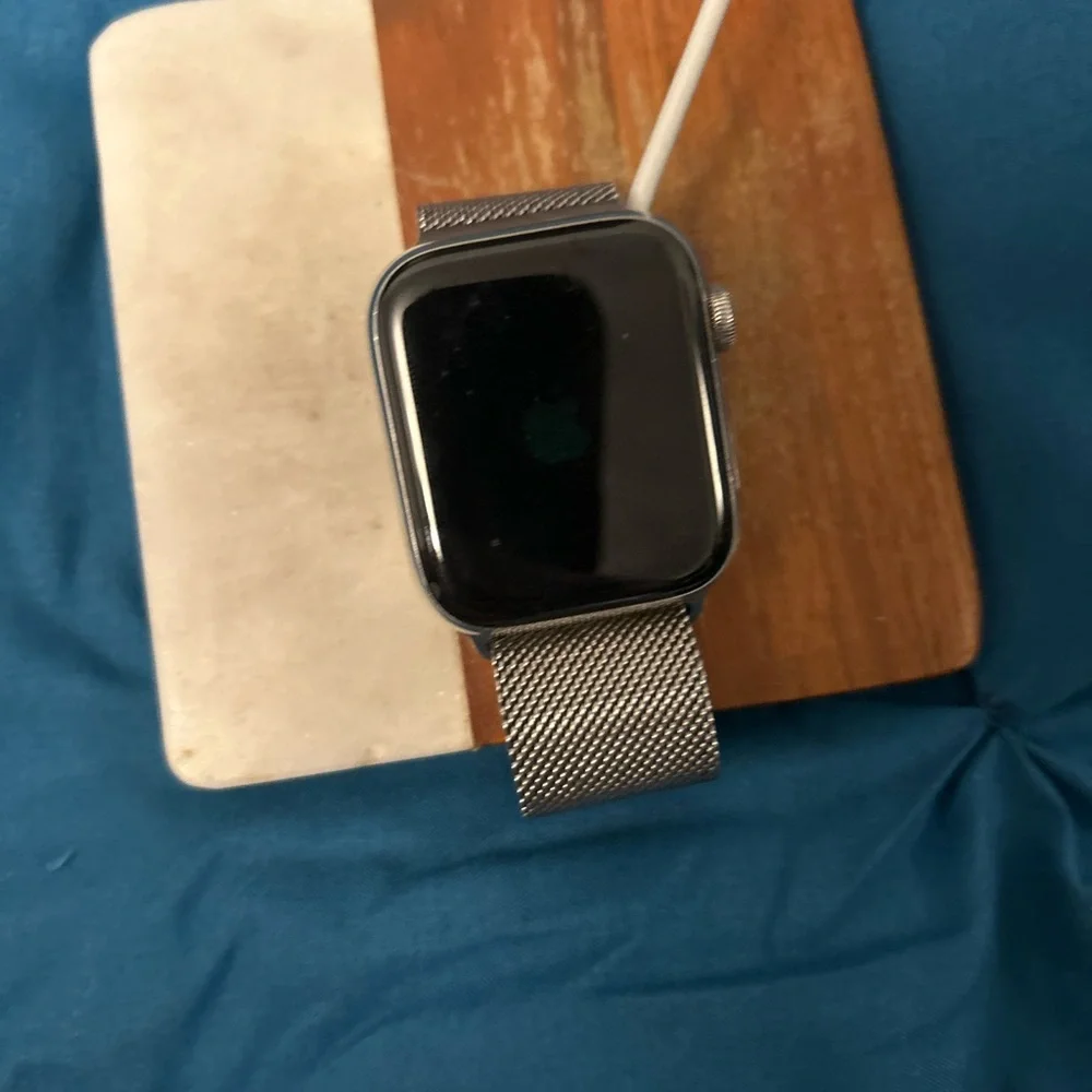 Apple Watch Series 9, Sandless steel